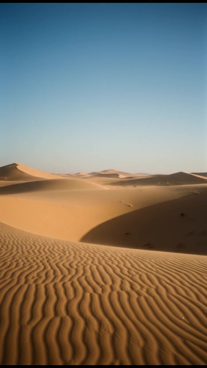 Motivasi untuk Para Perintis