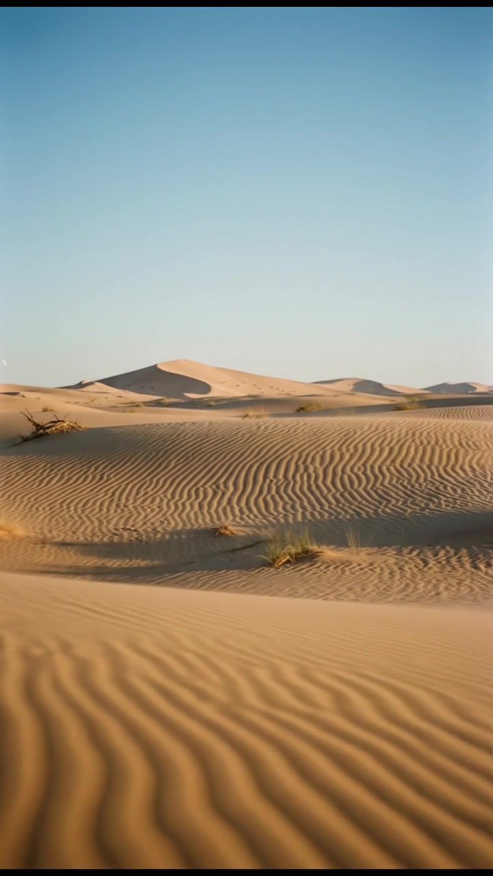 The Return of the Lost Army: Sand Empire's Legacy