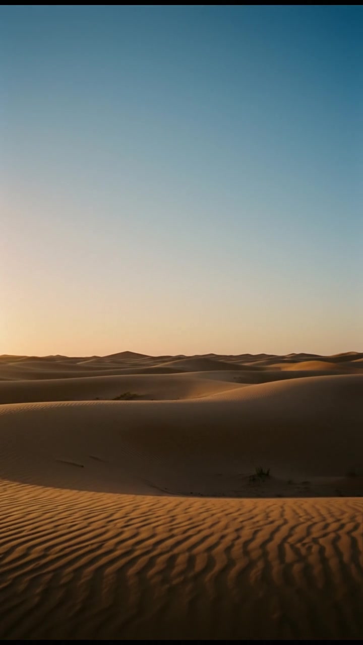 Sultan Panda in the Desert