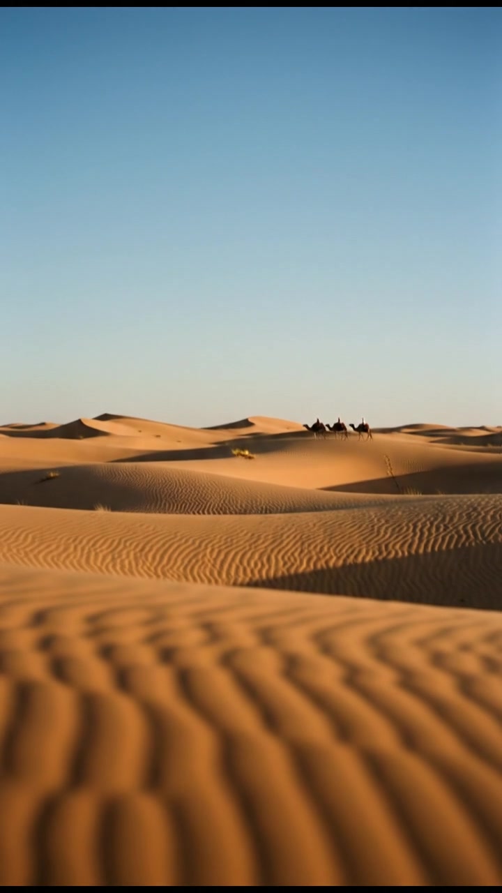 Gurun Terbesar di Dunia: Antartika Bukan Sahara!