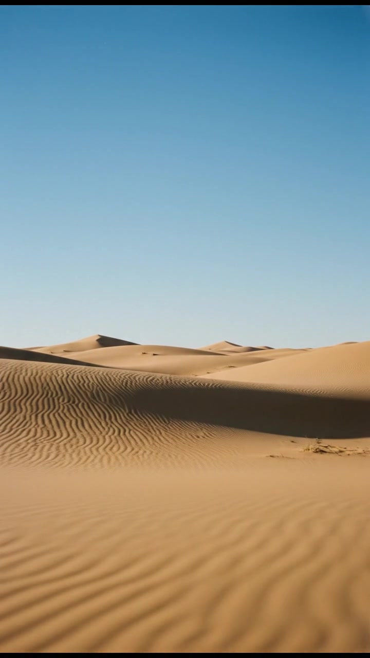 The Hidden Treasures Unearthed After 2000 Years!