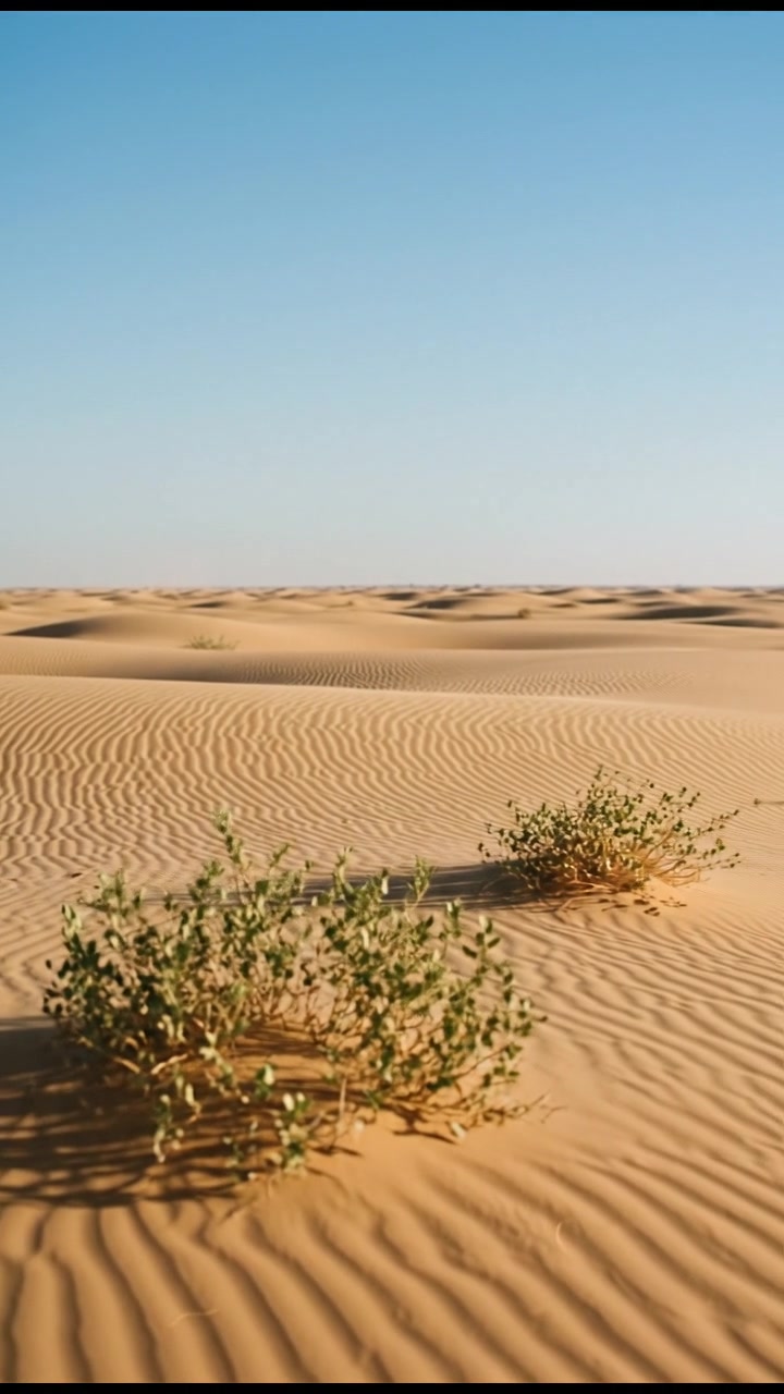 Ari di Pertempuran Tanah Gurun Tengah