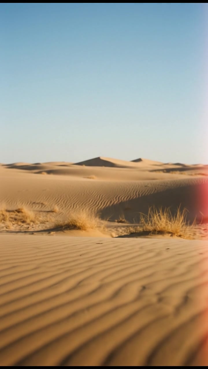 El Roi: The God Who Sees the Overlooked