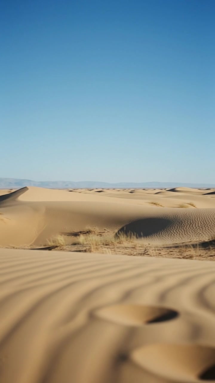 Understanding the Abbasids