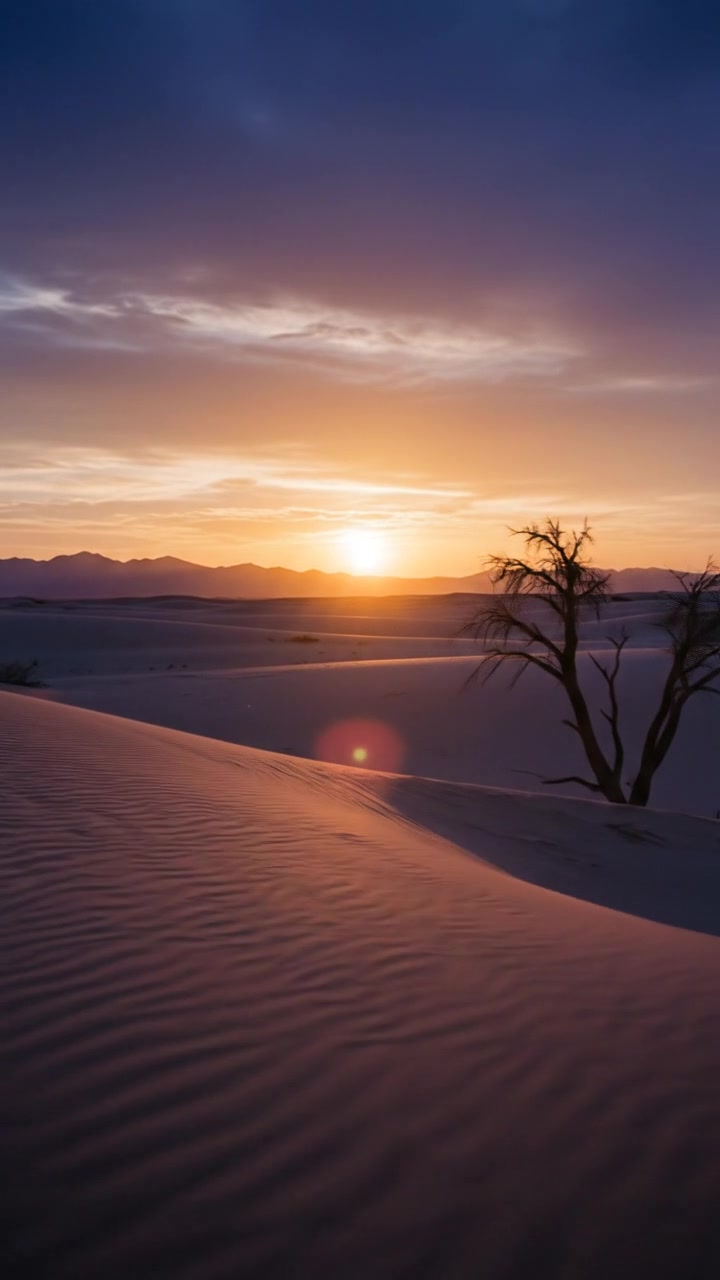 The Vanishing Army of the Sahara