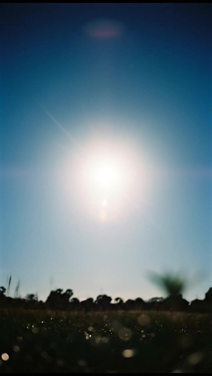 How Sunlight Becomes Electricity!