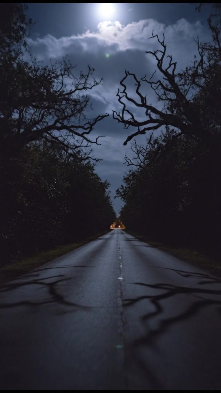 Forever Promised, Too Soon Departed