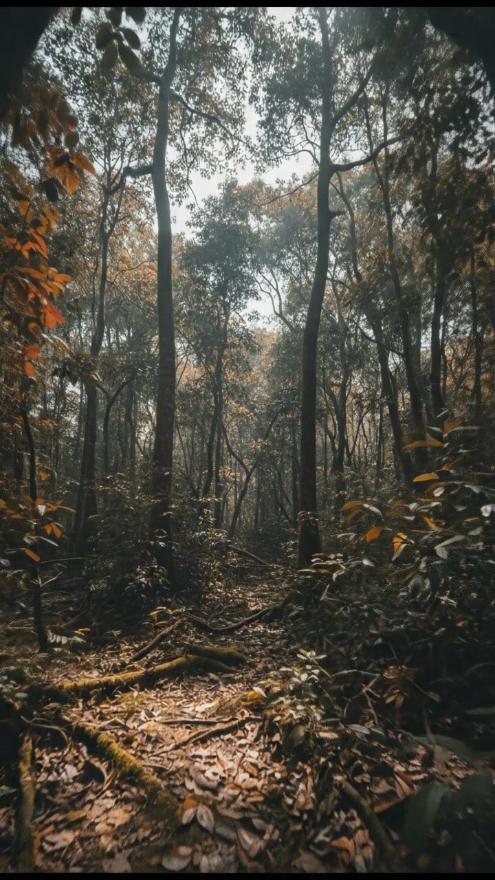 Surga dan Neraka: Realitas atau Kontrol Sosial?