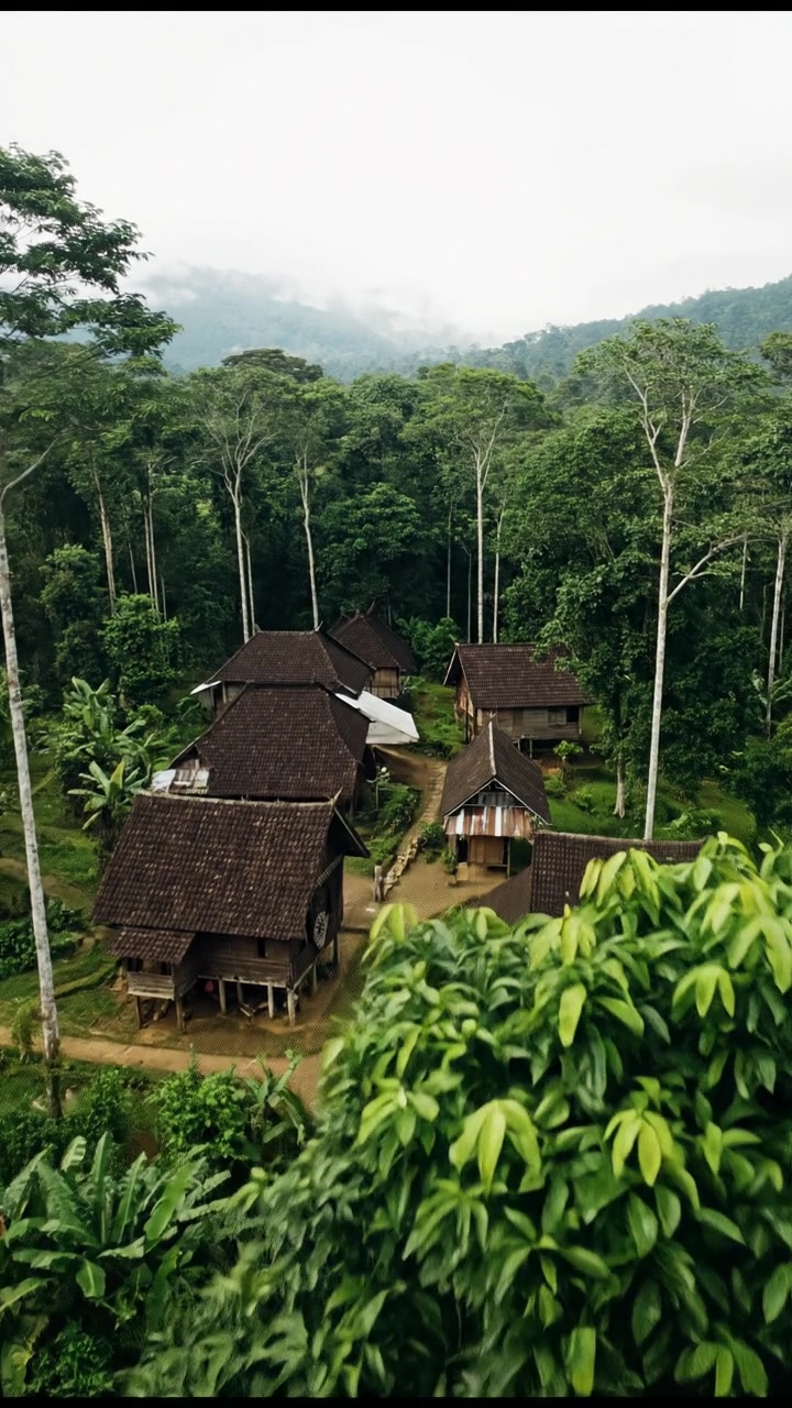 Pemuda dan Ikan Ajaib