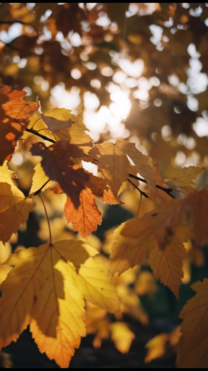 Pupuk Organik Cair: Solusi Alami untuk Tanaman Subur!
