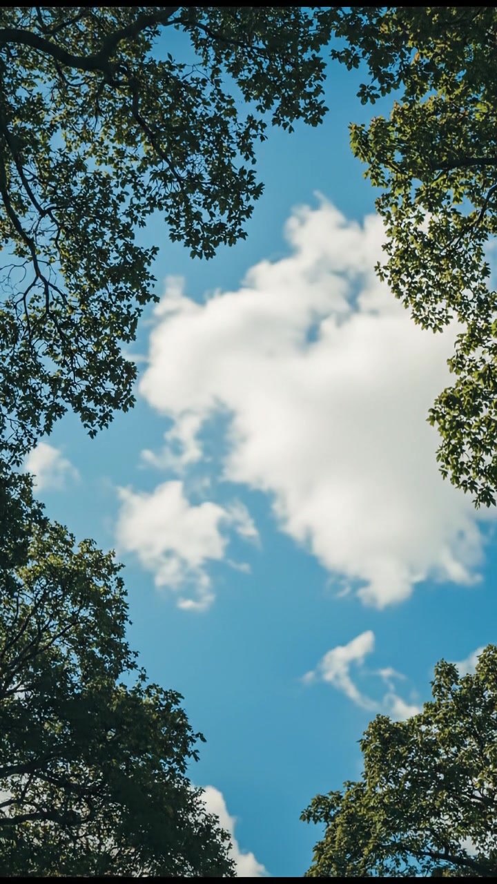 Fakta Menarik Tentang Pohon dan Kecanggihan Teknologinya