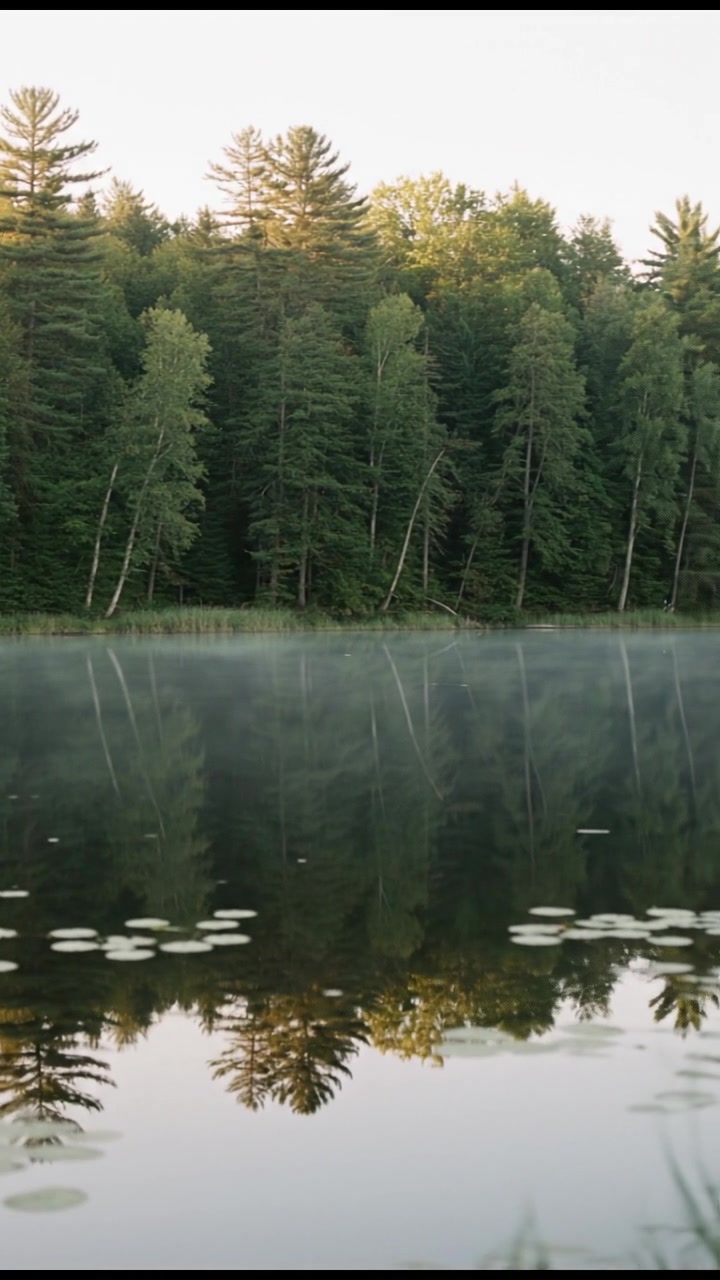 Dawn Reflections on Tranquil Waters