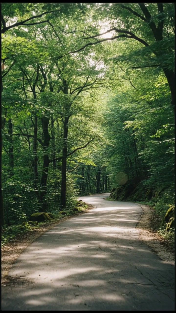 Embrace the Journey: Your Future Self Awaits