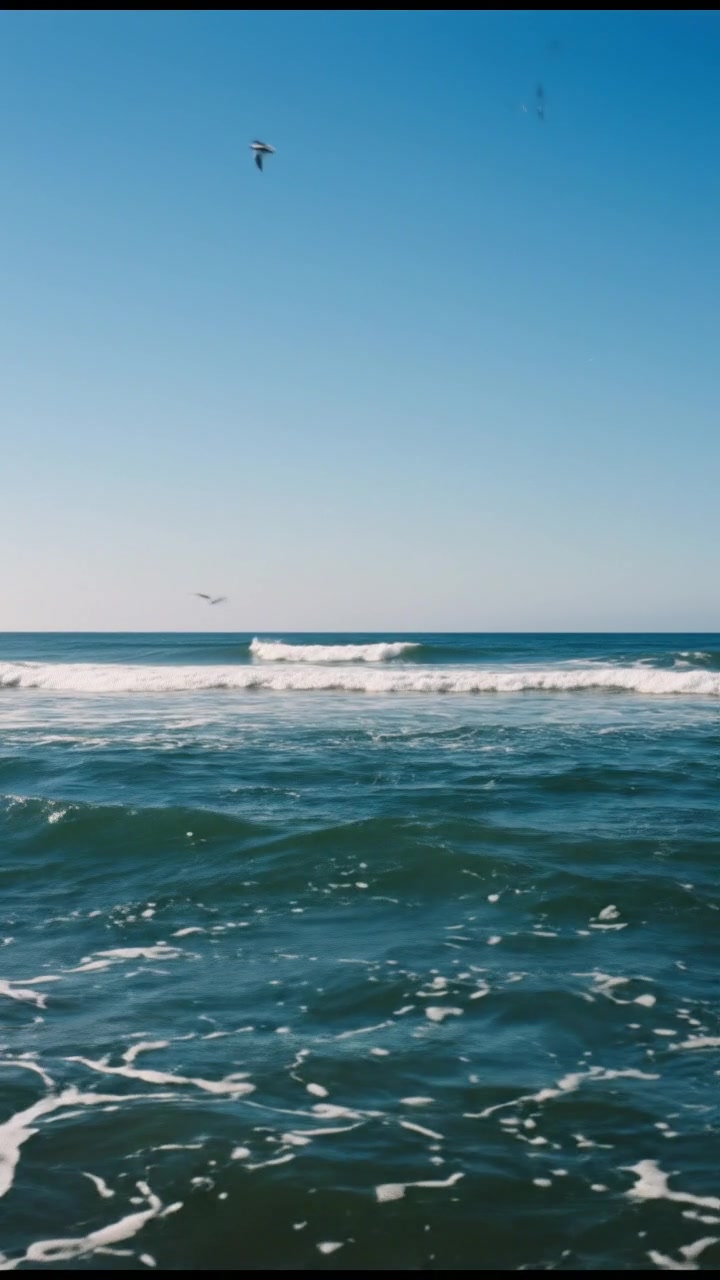 Understanding the Ocean: An Explainer