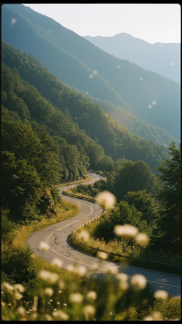 Explore a Magical Mountain Road Journey