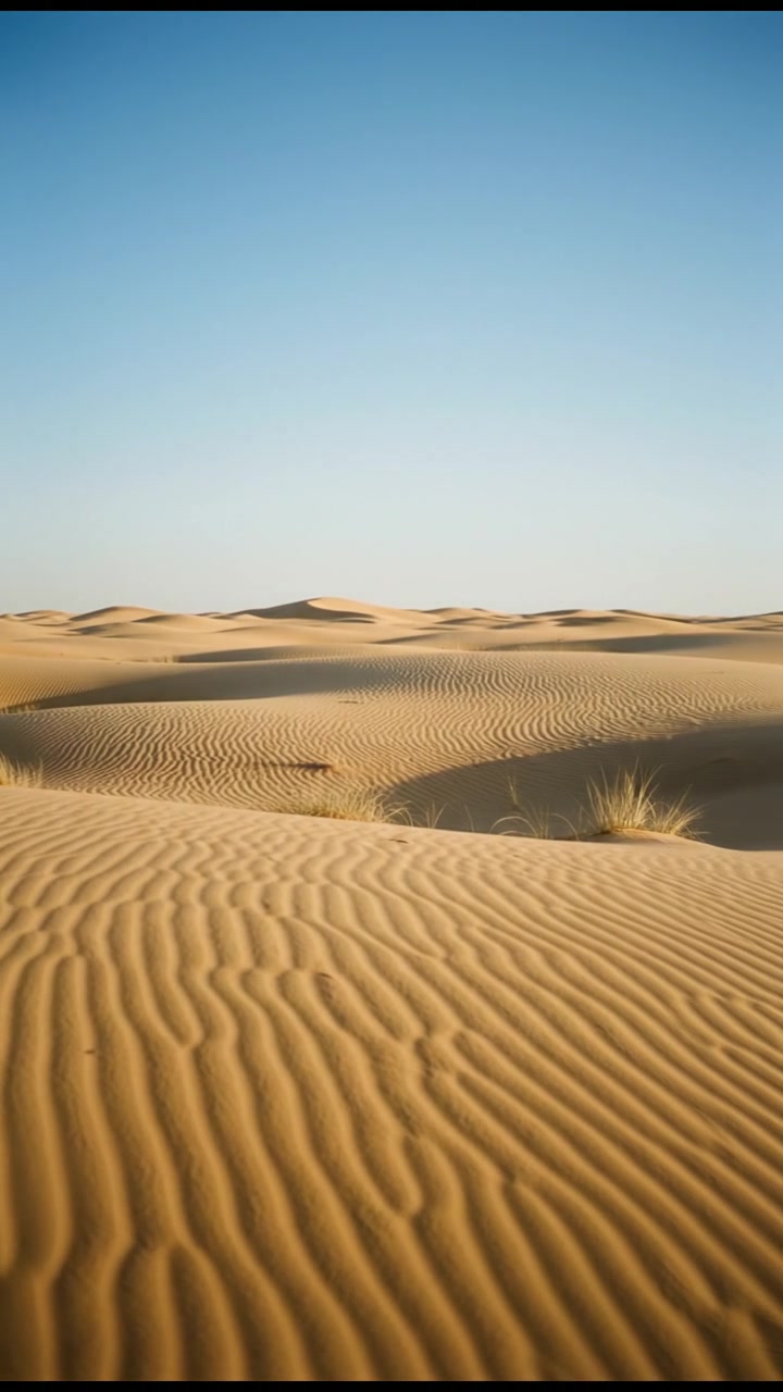 3 Facts About the World