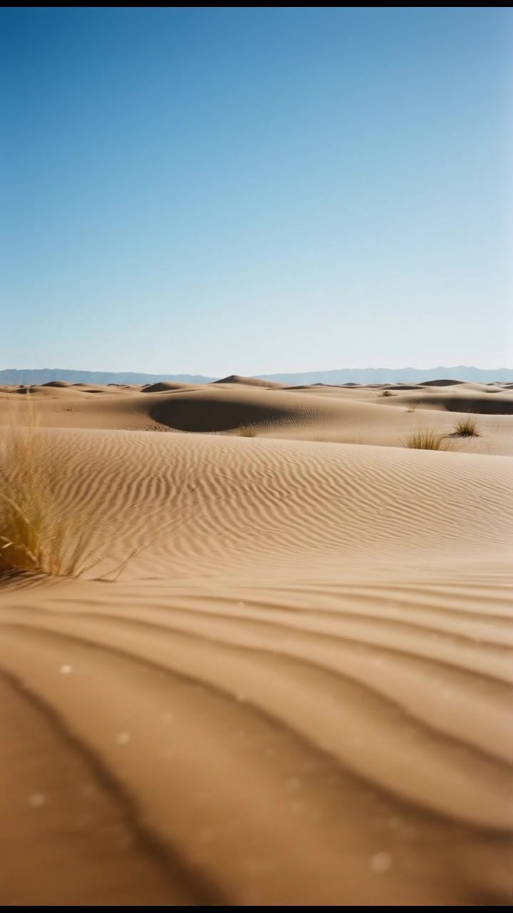 Drift Desert: Modern Quad Adventures