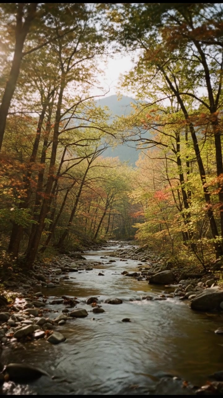 सच्चे सुख और मोक्ष की खोज