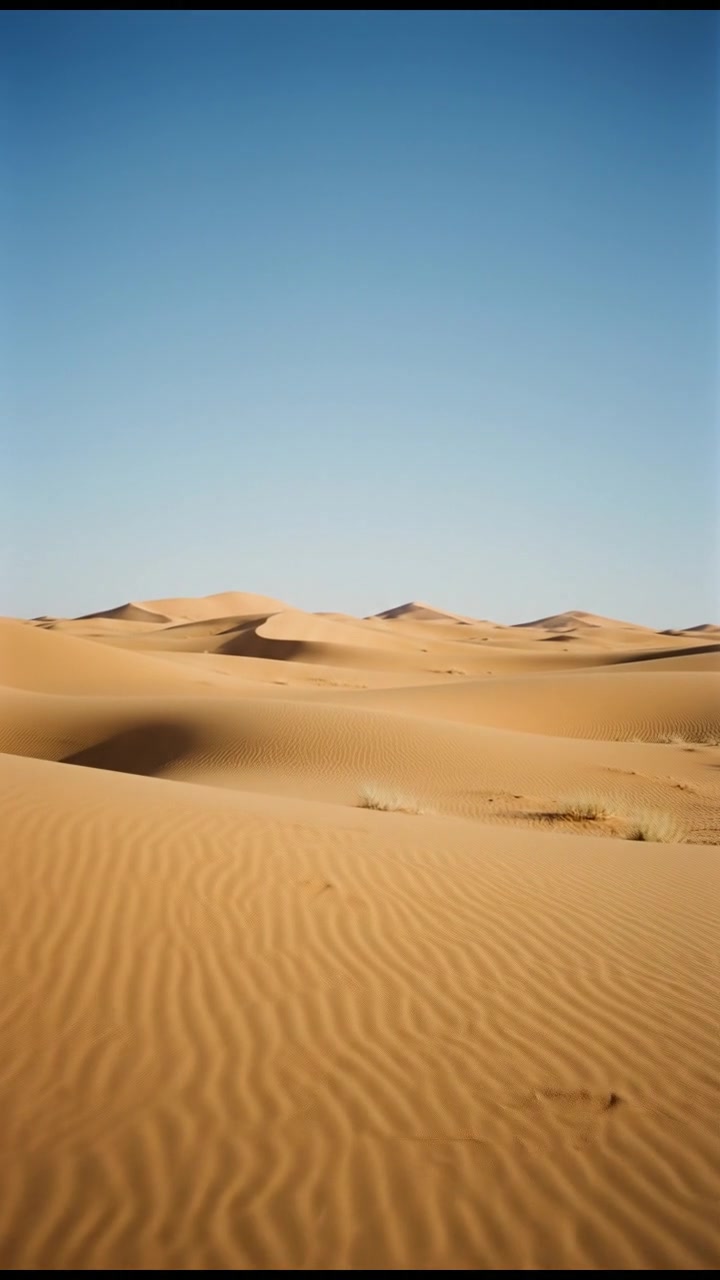 Witness the Sacred Pilgrimage of Hajj!