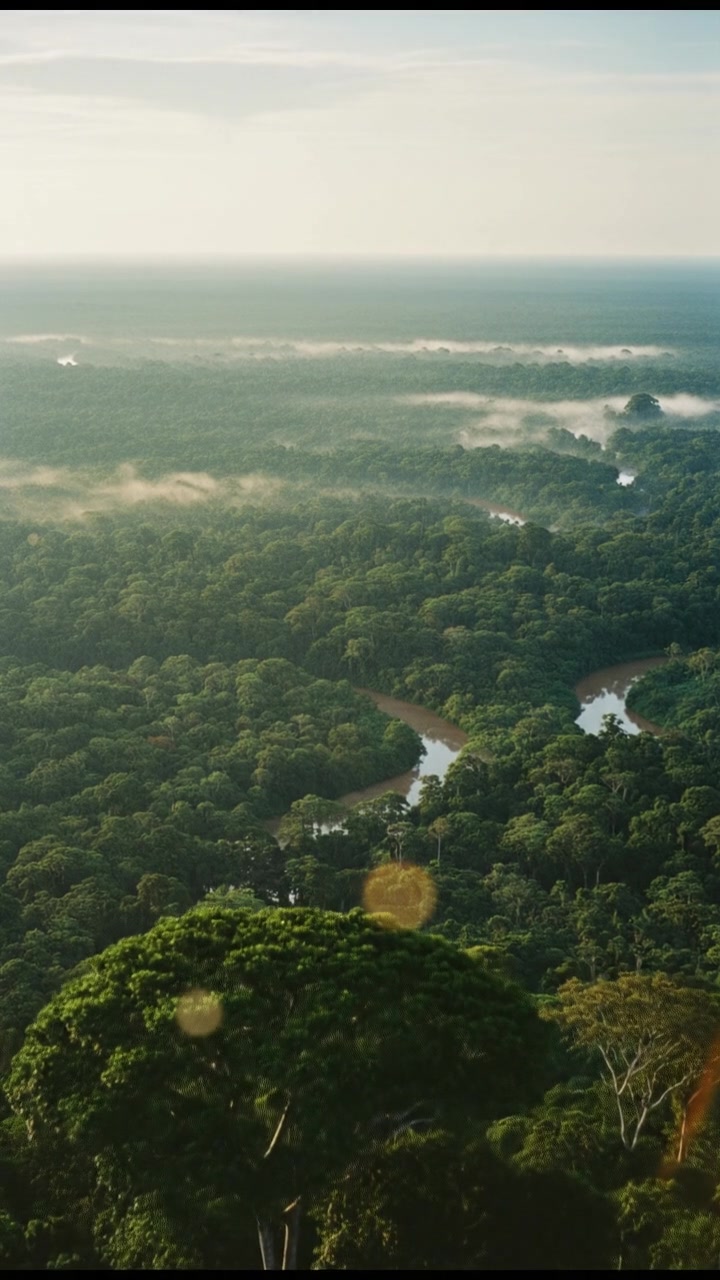 Why the Amazon Creates Its Own Rain