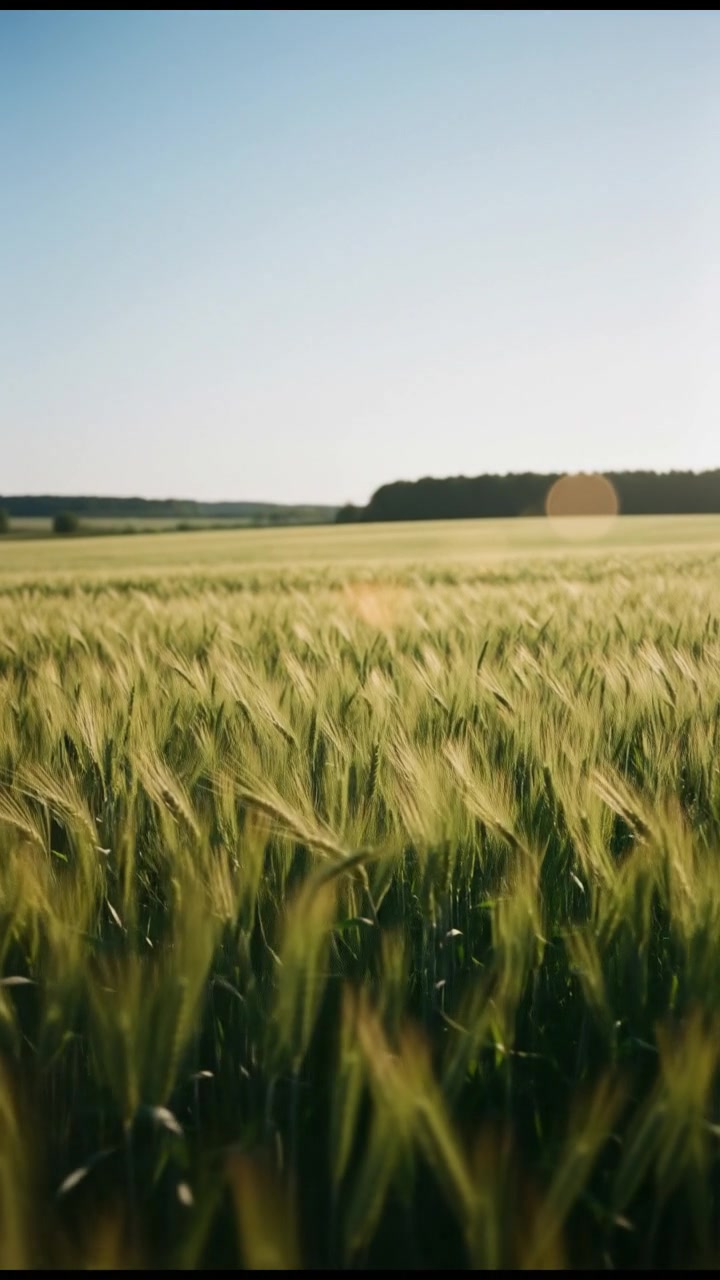 The Essence of Agriculture (copy)