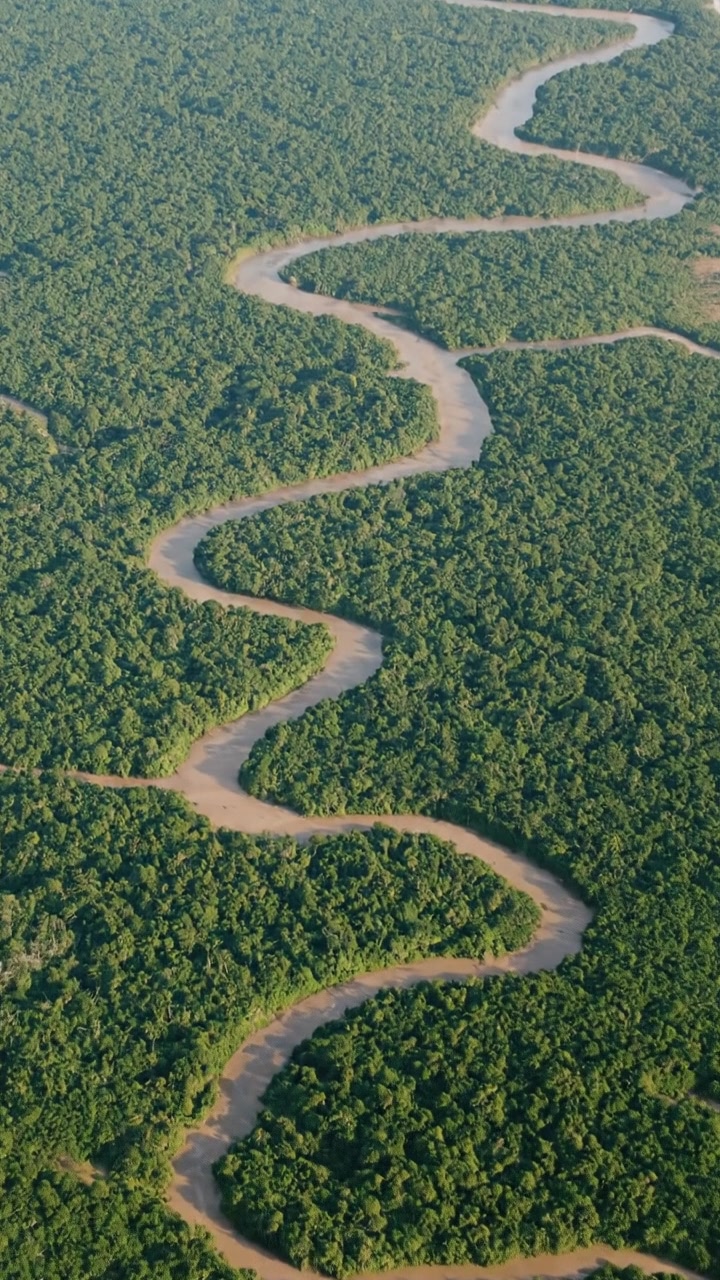 Discovery of Gambia: Who and When?