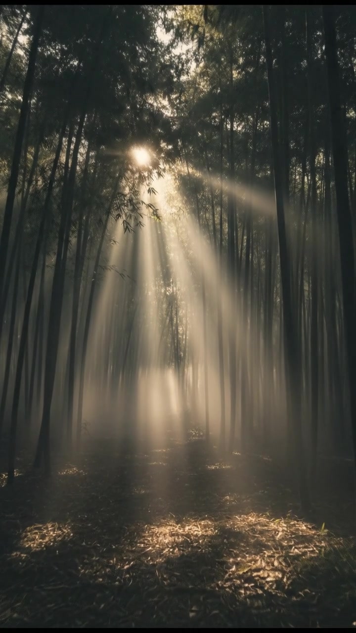 The Tale of Princess Kaguya