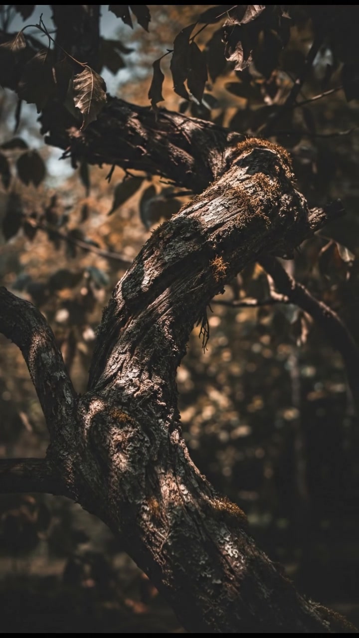 The Power of Apology