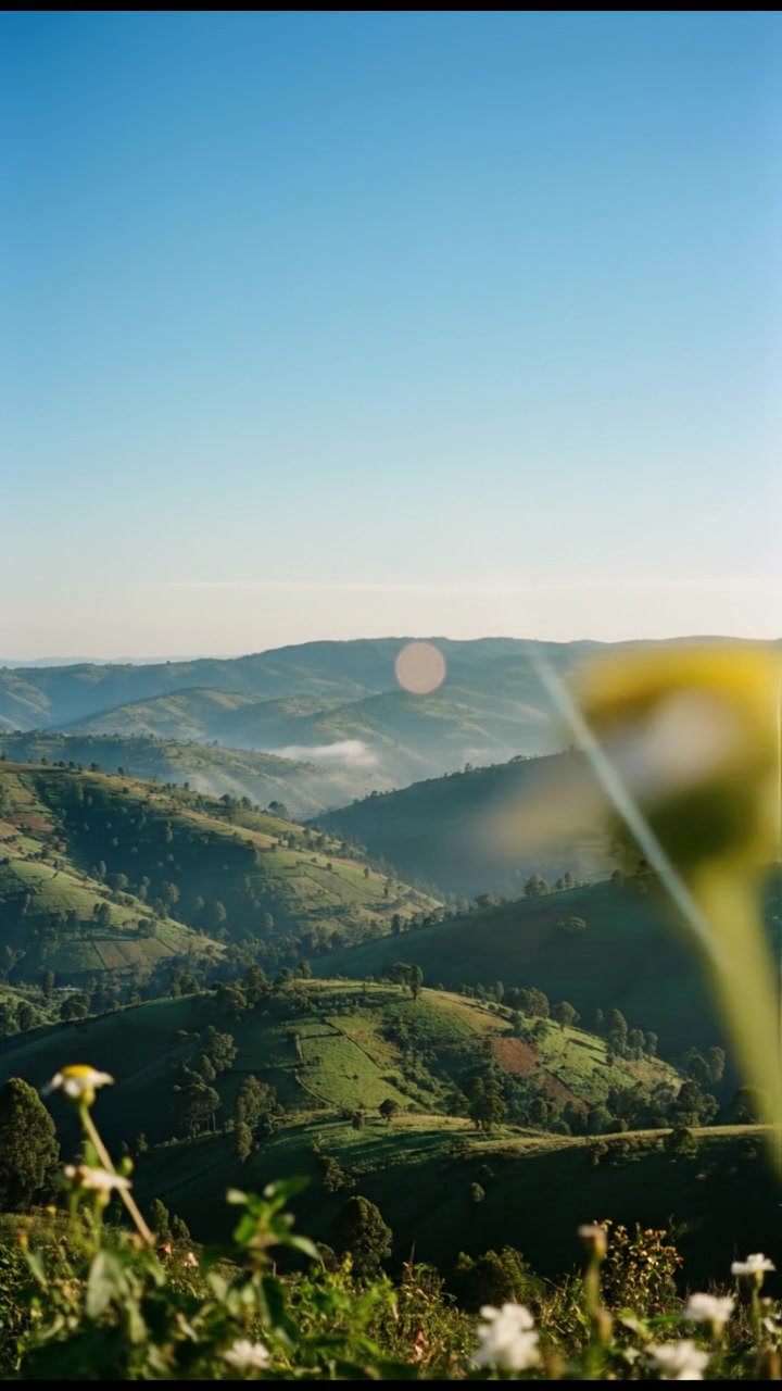 Historical Politics of Kenya