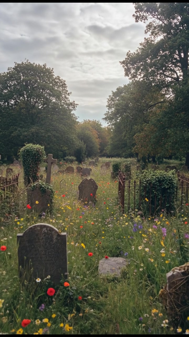 The Impossible Moved: Lazarus' Resurrection (copy)