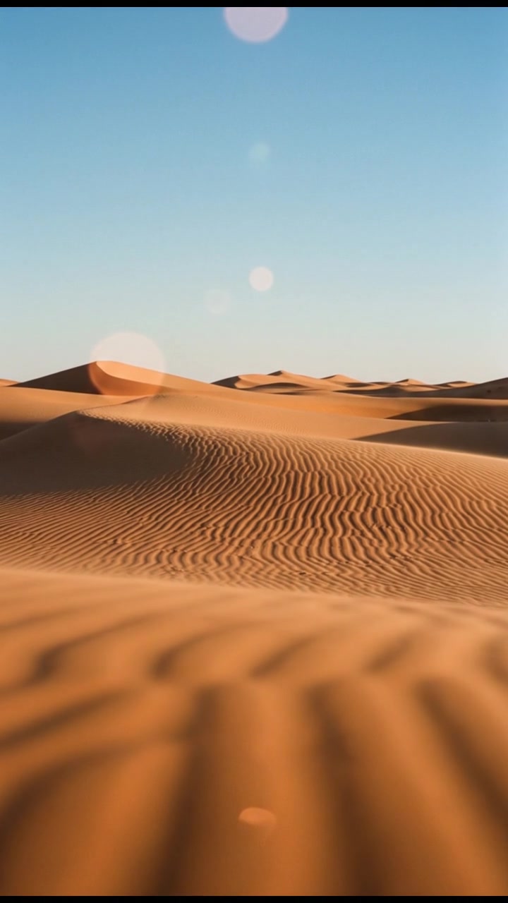 How Solar Panels Convert Sunlight to Electricity