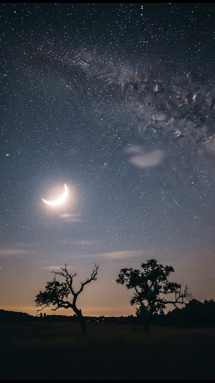 The Enduring Legacy of Prehistoric Humans