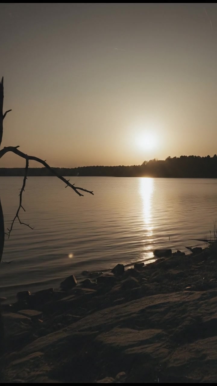 The Quiet Power of Intentional Change