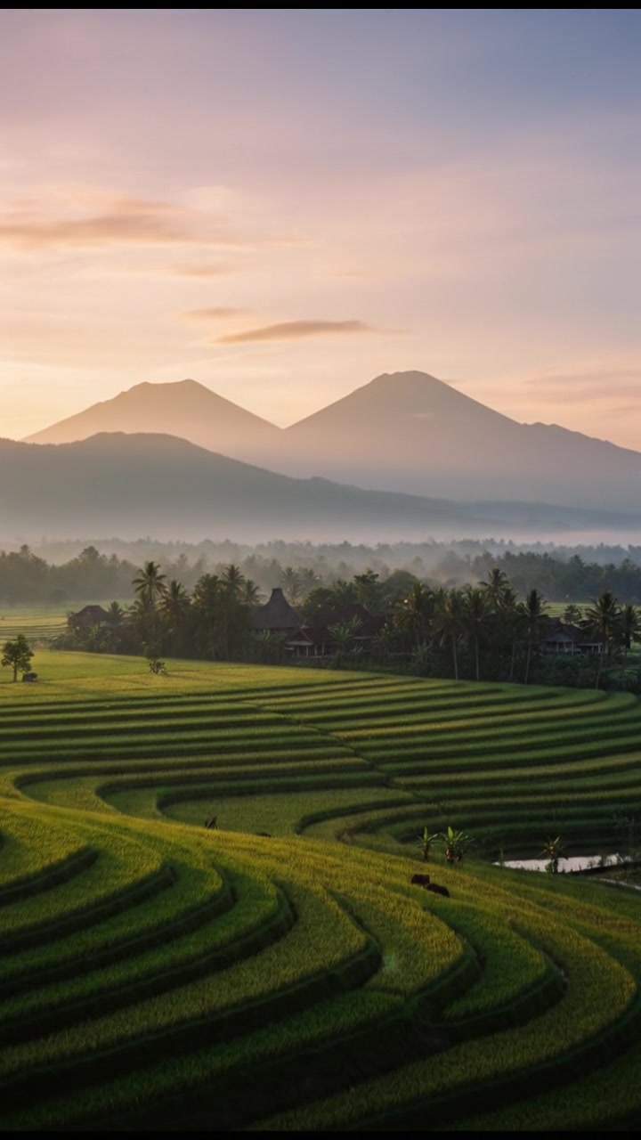 Kehidupan Petani di Sawah