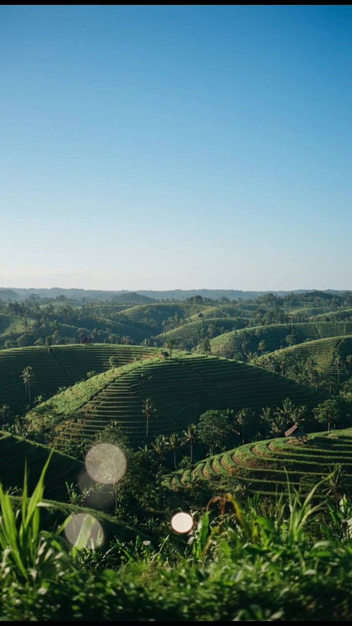 Keindahan Kebudayaan Asli Indonesia