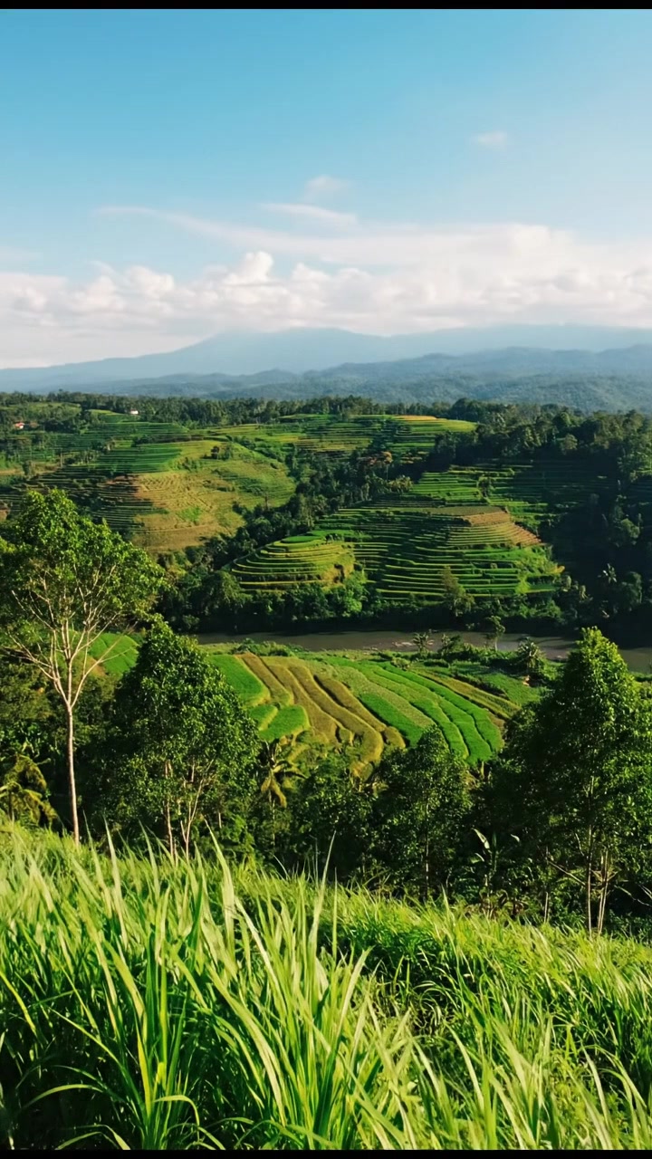 Asal Usul Dukuh Karanglo: Sejarah dan Ekonomi di Desa Kadungrejo