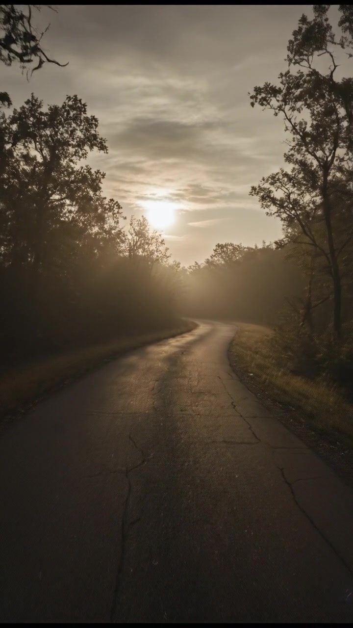 Moving Through the Weight of Life