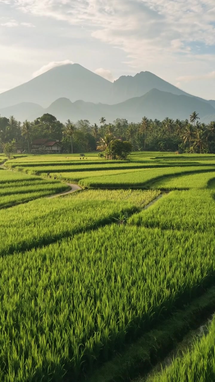 Sejarah dan Budaya Dusun Klewer di Tuban