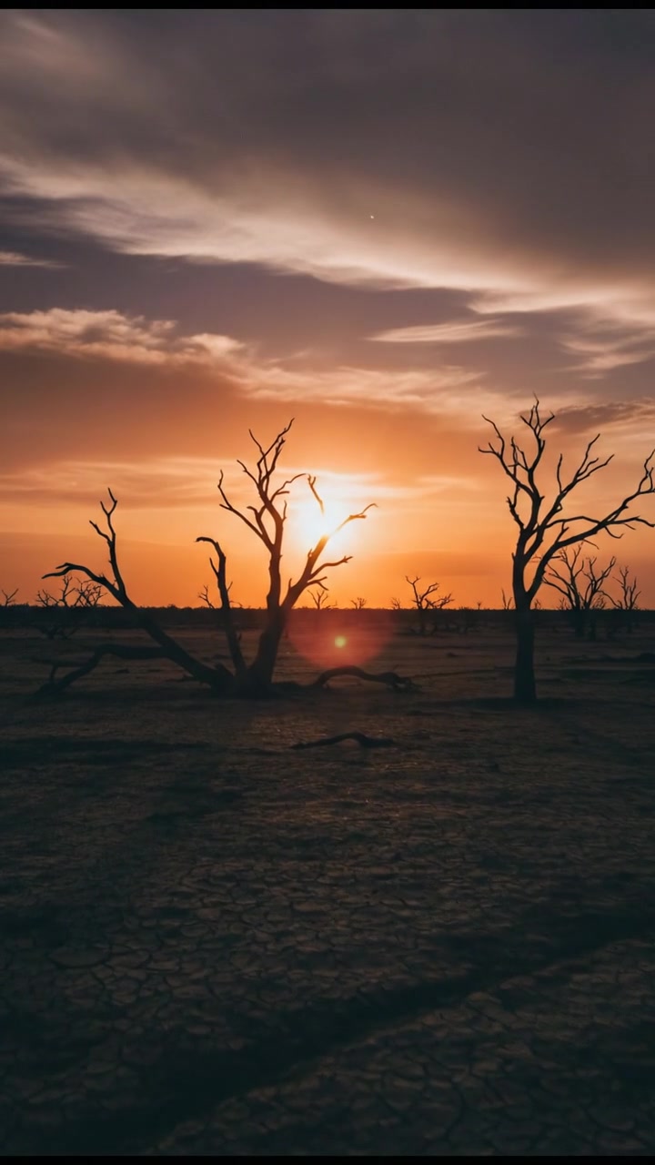 A landscape with a vibrant sunset casting a tangerine glow over the sky.