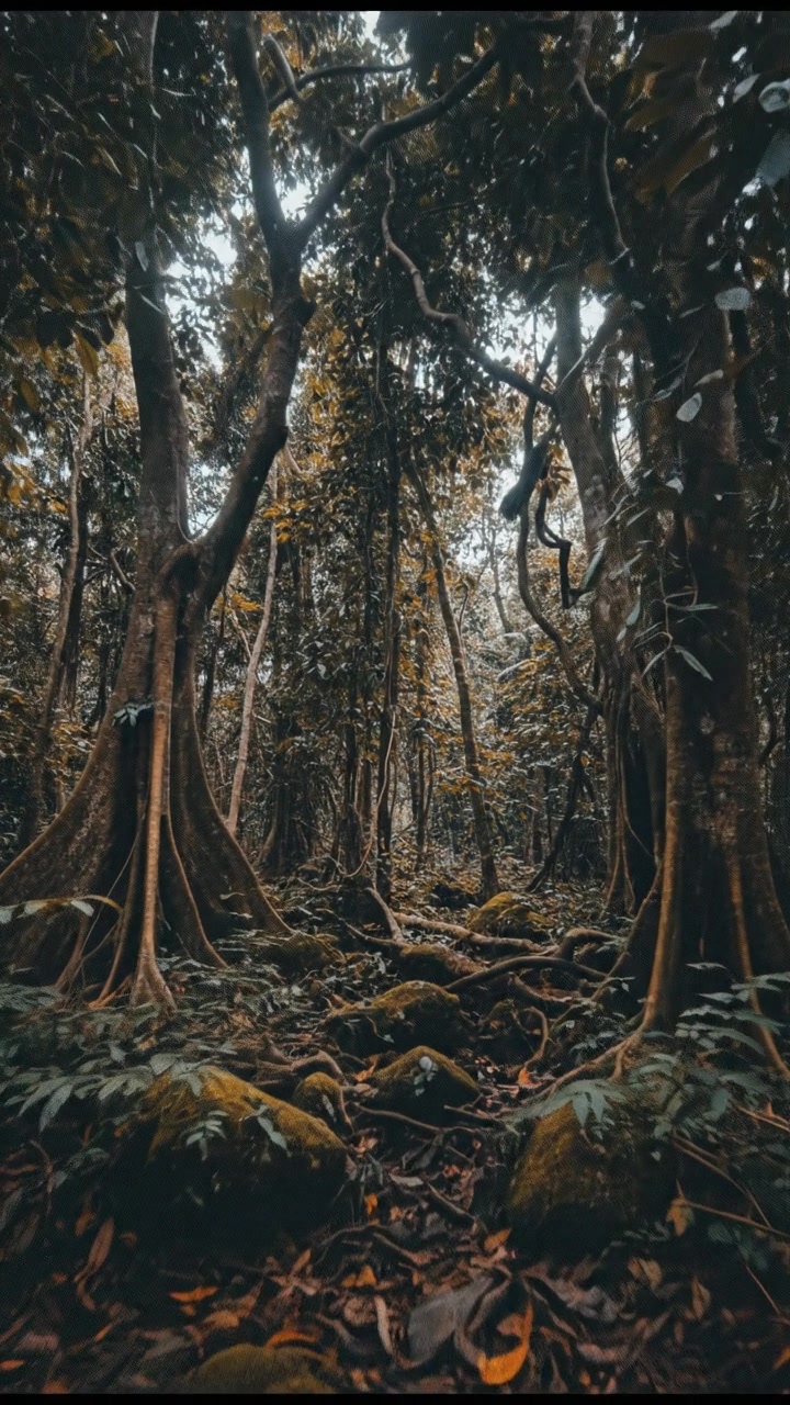 Peluang Pendidikan untuk Mencetak Generasi Hebat Indonesia