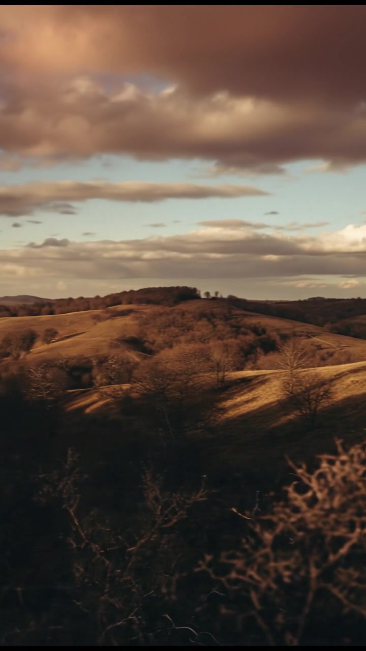 The Power of Mindset