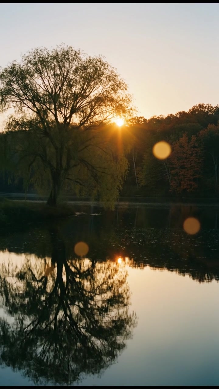 The Forbidden Union (copy)