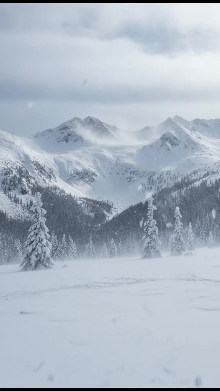 Miffy Aur Barfaani Andhi: Ek Bahadur Khargosh Ki Kahani