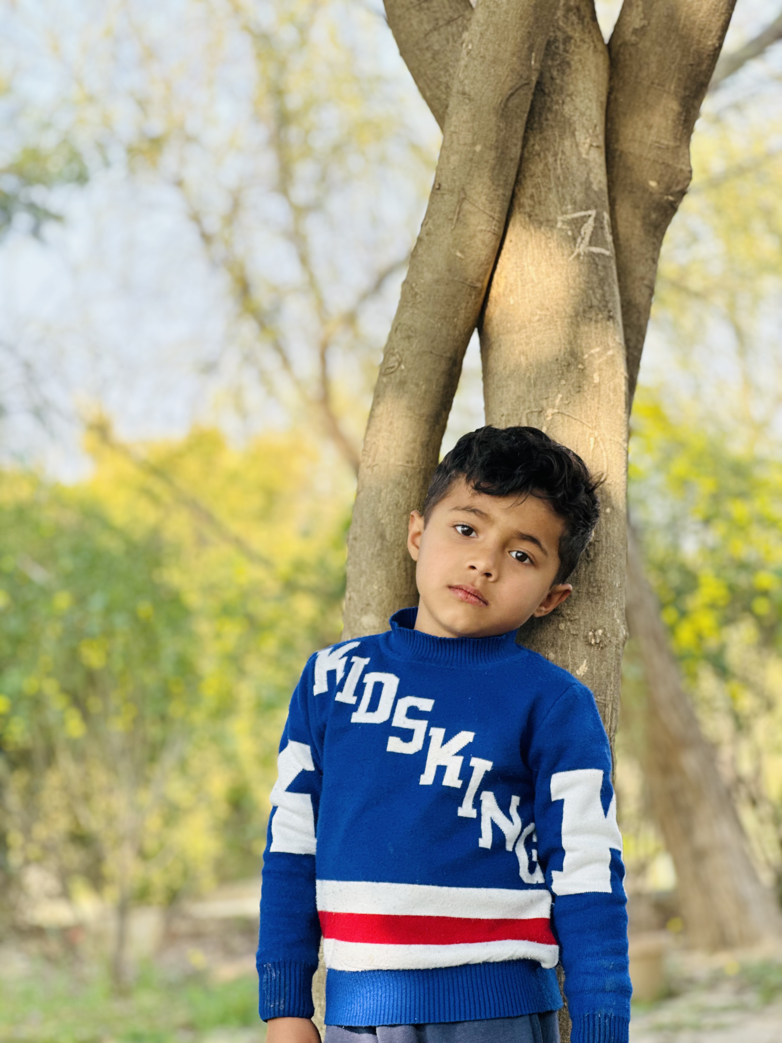 ولی اور پرندوں کی دوستی