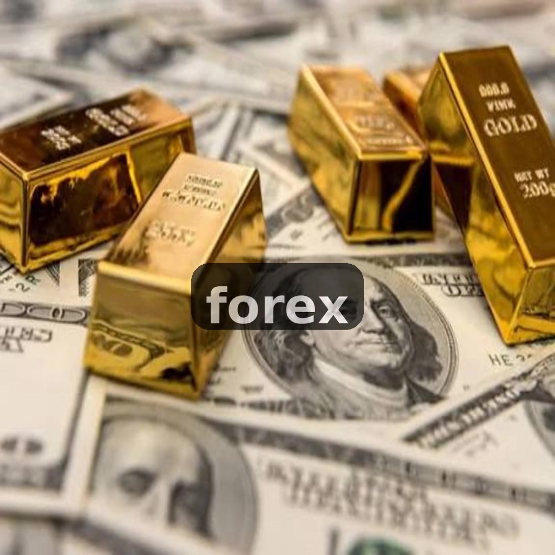 Introduction to Habashi Company Forex