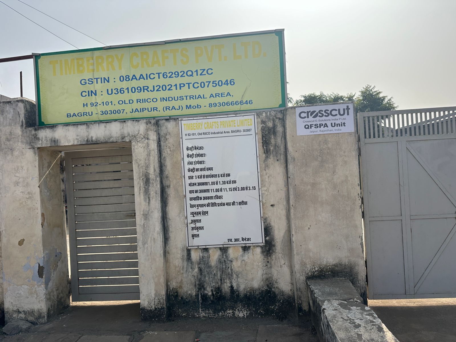 Crosscut E-solutions: Pioneering Vertical Living Manufacturing in India