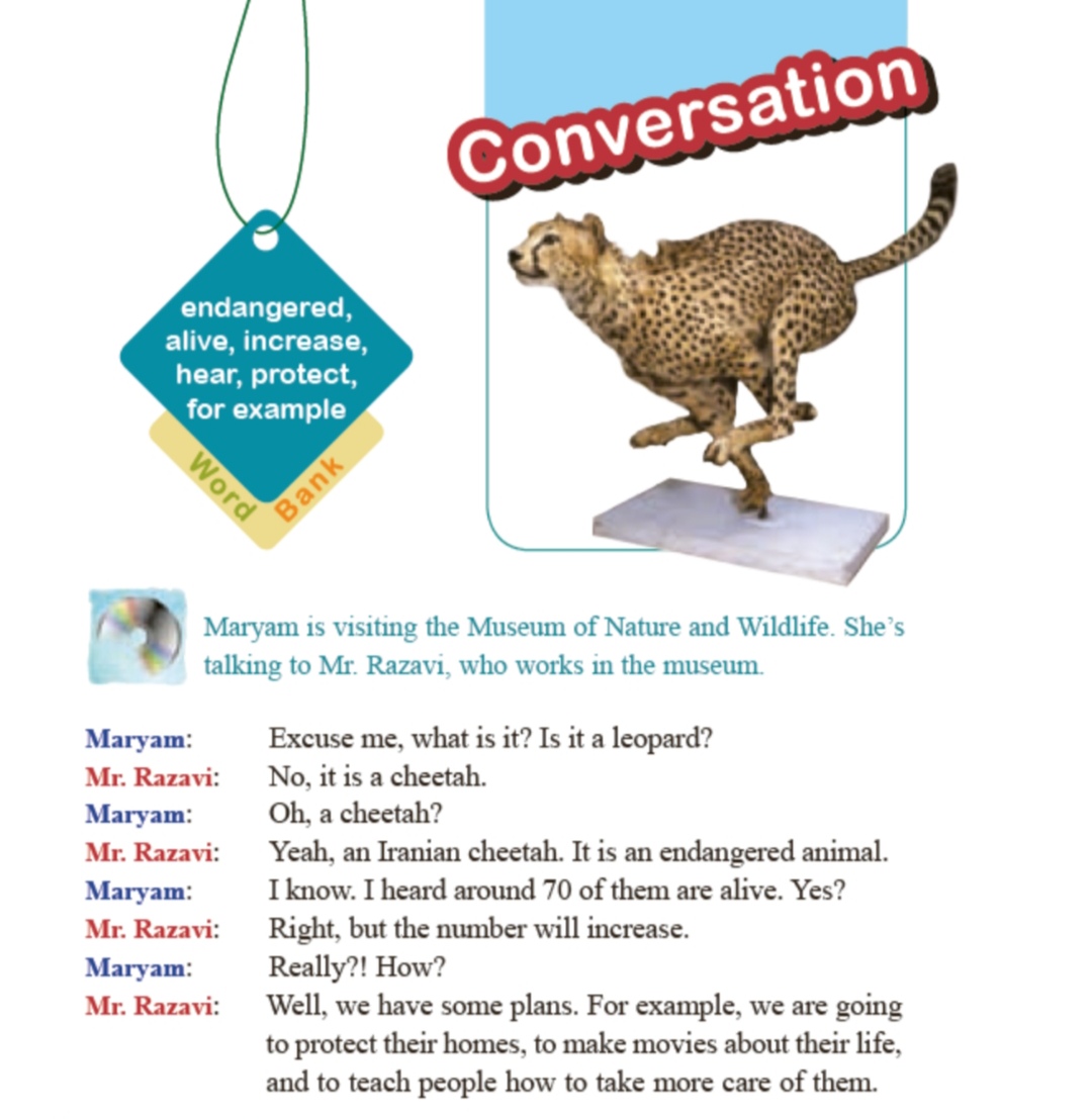 Saving the Iranian Cheetah: Conservation Efforts Explained