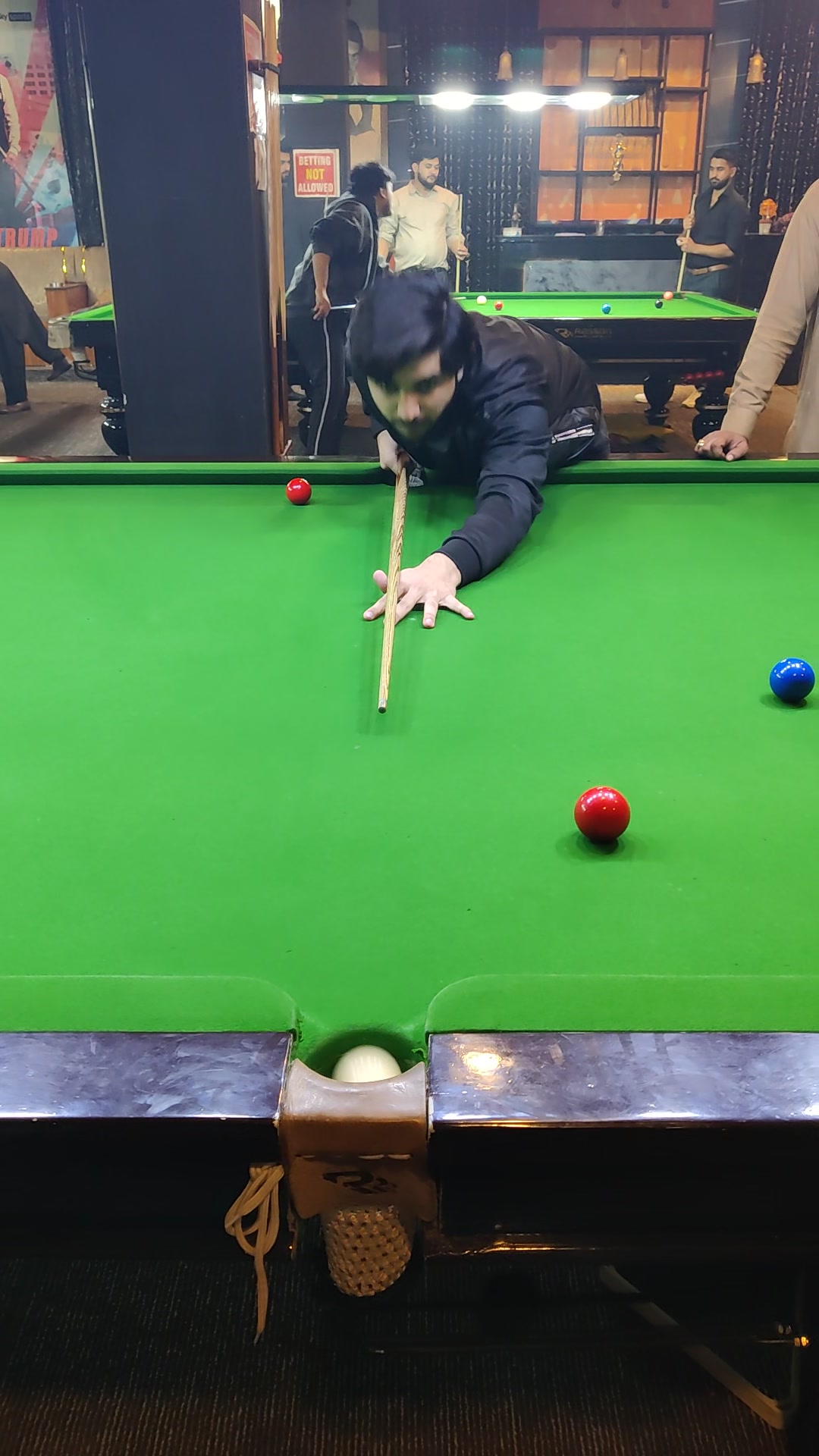 Transforming into 3D Animated Adventures!