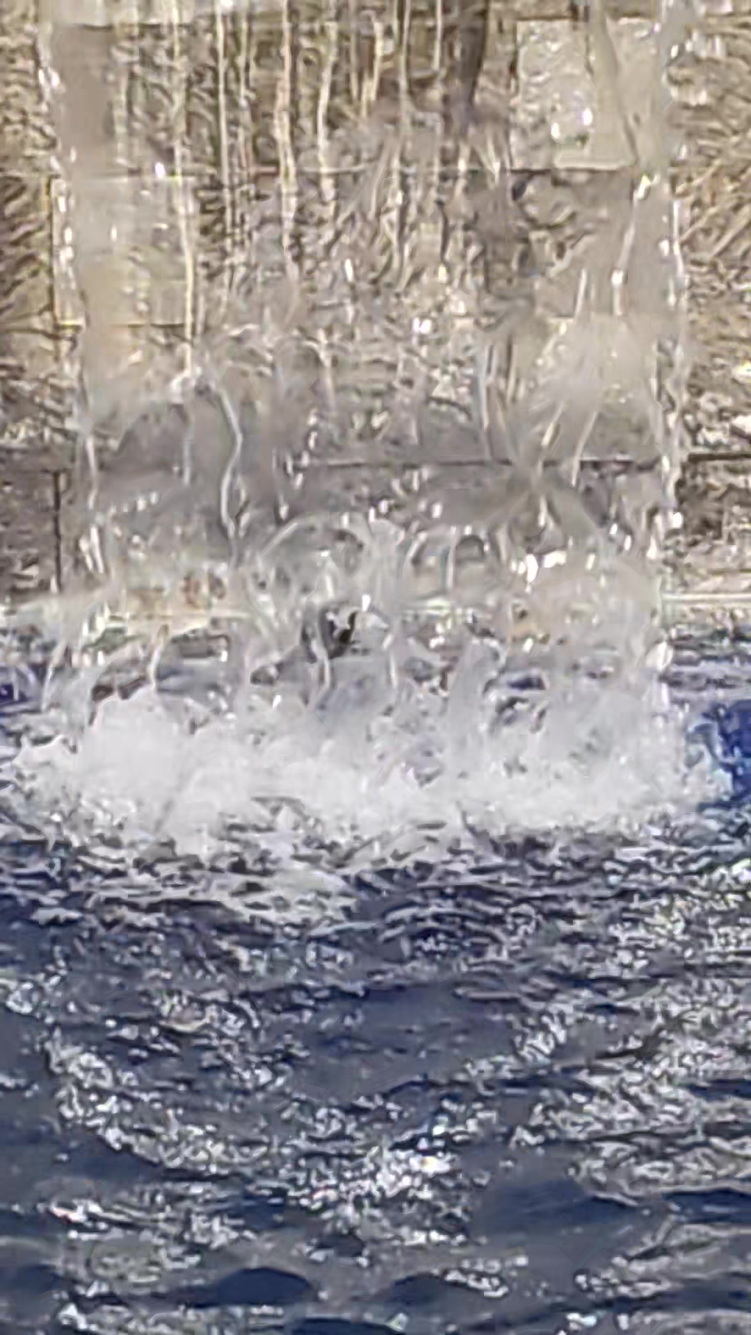 Zennova Life Sciences: Arising from the Waterfall