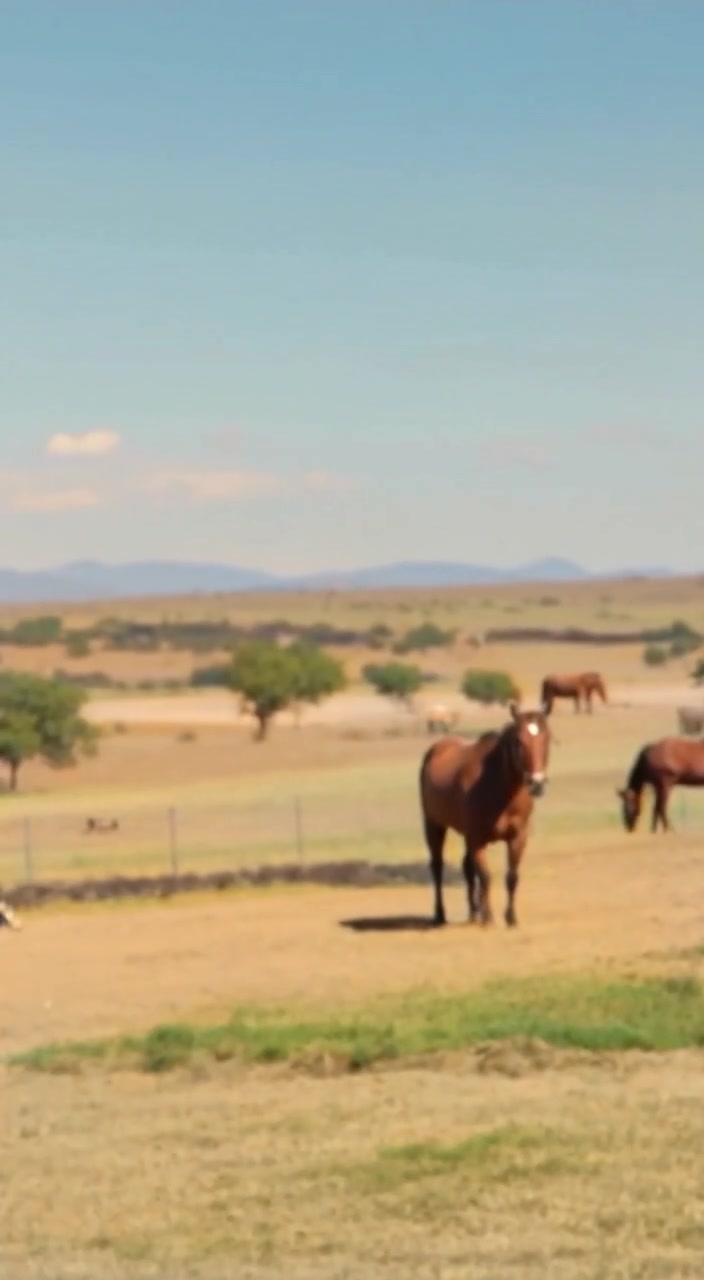 5 Surprising Facts About Texas